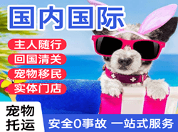 乌鲁木齐机场货运国际宠物托运 【国
